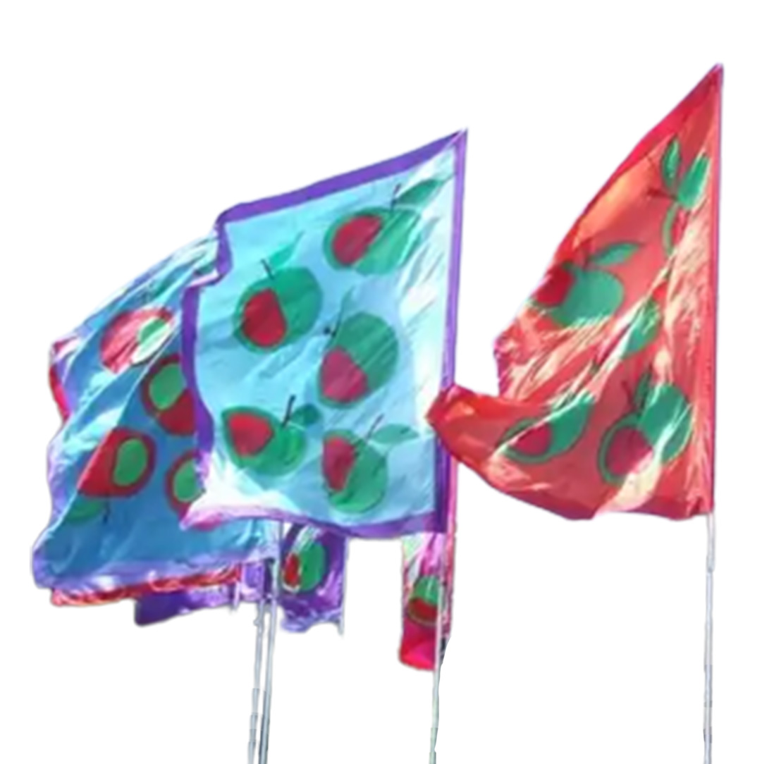 Factory Direct Beachflags Stand Open With Pole Kit Advertising Sail Beach Teardrop Feather Flag Banner